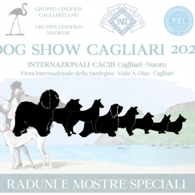 Mostra Speciale presso Internazionale di Cagliari