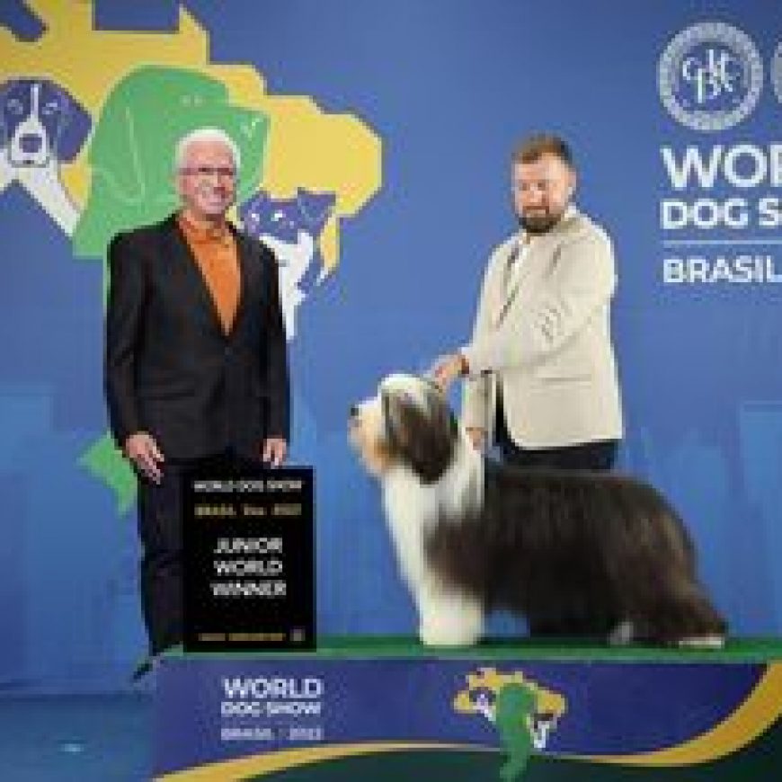 World Dog Show Brasile
