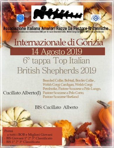 Risultati Internazionale di Gorizia e Sanremo 2019