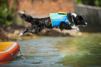 Evento Giornata Avvicinamento all’Acqua patrocinato AIARPB