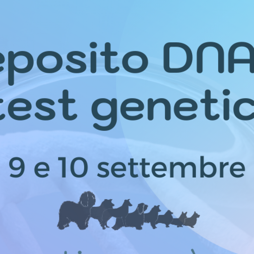 Deposito DNA e test